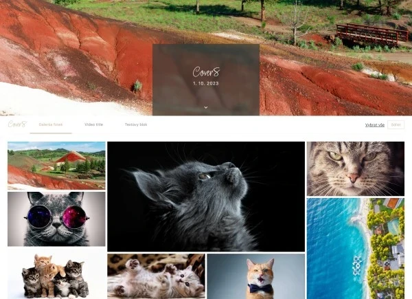 Pixin online gallery and photo selection for clients